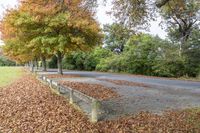 Gloomy Day Rural Landscape with Asphalt Road 002