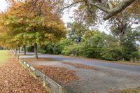 Gloomy Day Rural Landscape: Asphalt Road 003