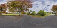 this panorama is filled with the image of the road going up to the park and to trees