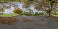 a panorama of a small, wide open street with lots of trees and leaves surrounding it