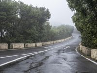 a paved road next to trees with a sky background in the middle of it and fog around it