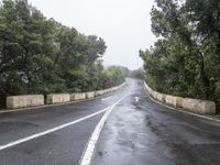 a paved road next to trees with a sky background in the middle of it and fog around it