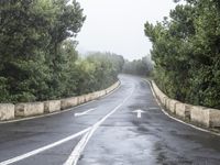 a paved road next to trees with a sky background in the middle of it and fog around it