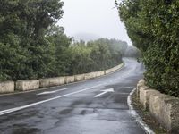 a paved road next to trees with a sky background in the middle of it and fog around it