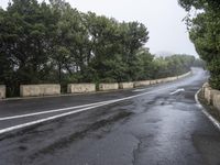 a paved road next to trees with a sky background in the middle of it and fog around it