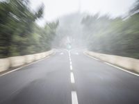 the photo is blurred with the focus on the road and trees as well as the cars