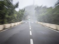 the photo is blurred with the focus on the road and trees as well as the cars