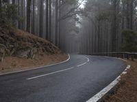 Gloomy Day in Tenerife, Spain: Rural Road 001