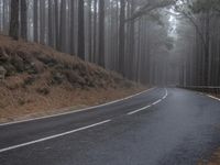 Gloomy Day on Tenerife, Spain: Rural Road