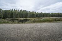 a dirt field with a small lake near it near a forest of trees and a small pond