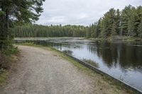 a path along a large body of water near a forest filled with tall pine trees