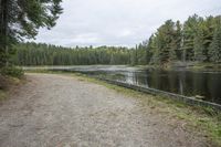 a path along a large body of water near a forest filled with tall pine trees