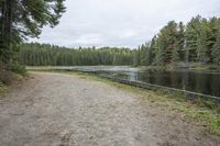 a path along a large body of water near a forest filled with tall pine trees