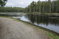 a path along a large body of water near a forest filled with tall pine trees