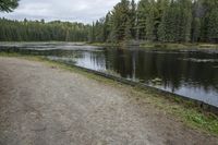 a path along a large body of water near a forest filled with tall pine trees