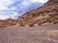 a desert area has some bushes and some rocks with blue skies above it on a partly cloudy day