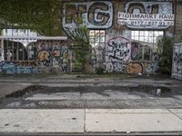 graffiti covers the wall at an abandoned factory, along with vines growing up the side