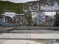 graffiti covers the wall at an abandoned factory, along with vines growing up the side