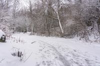 Gloomy Grey Sky: Forest Road in Canada