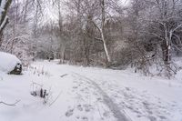 Gloomy Grey Sky: Forest Road in Canada