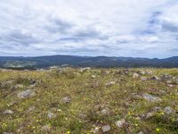 a field full of rocks and plants with mountains in the background under cloudy skies in the distance