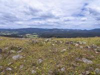 a field full of rocks and plants with mountains in the background under cloudy skies in the distance