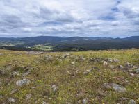 a field full of rocks and plants with mountains in the background under cloudy skies in the distance