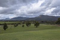 grassy area with trees and grass, mountains in the background, clouds are overhead and the sky is dark