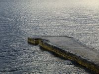 a bird stands on a pier by the ocean and is perched on a concrete ledge