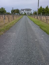 Gloomy Landscape: Dirt Road and Cloudy Sky