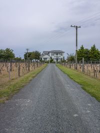 Gloomy Landscape: Dirt Road and Cloudy Sky