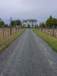 Gloomy Landscape: Dirt Road and Cloudy Sky