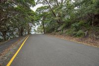 a road through trees on the edge of a cliff near a body of water area