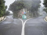 road signs are sitting on the side of an empty road near trees and bushes on either side of a narrow mountain