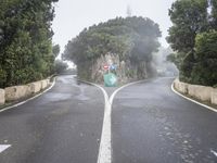 road signs are sitting on the side of an empty road near trees and bushes on either side of a narrow mountain