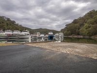 a marina with boats and parked yachts on it's shore area, surrounded by wooded trees