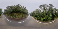 multiple different shots of a road with trees and bushes around it, including the top