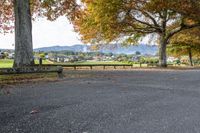 benches are sitting under the tree in a park at a bench stop on a paved road