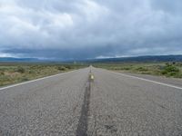 A Gloomy Road in the USA: Grey Skies and Nature