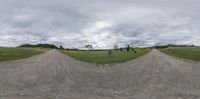 a group of three 360 - spherical panoramic pictures of a rural area, two trees and the dirt road