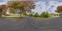 this panorama is filled with the image of the road going up to the park and to trees