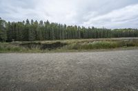 a dirt field with trees and sand and water on the ground by it and a forest behind it