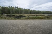 a dirt field with trees and sand and water on the ground by it and a forest behind it