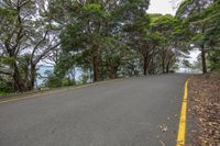 an empty road with a yellow line on the right side and trees to the left