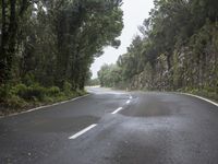 Gloomy Tenerife Spain Forest Road