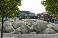 large rocks in the street near several buildings and trees are surrounded by green leaves on a cloudy day