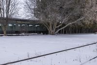 an abandoned train sits parked on snow covered tracks in the woods between trees and bare branches