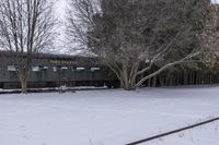 an abandoned train sits parked on snow covered tracks in the woods between trees and bare branches