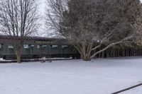 an abandoned train sits parked on snow covered tracks in the woods between trees and bare branches