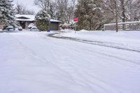 A Gloomy Winter Day in Toronto's Residential Area